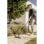 Karcher WD 3 S Aspiradora Sólidos/Líquidos 1000W