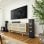 Haut-parleur Polk Monitor XT35 Central Hi-Fi Filaires 200W Dolby Atmos
