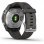 Smartwatch Garmin Fénix 7S 42mm Argento/Grigio