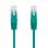 Nanocable Cable de Red RJ45 UTP Cat.6 25cm Verde