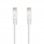 Nanocable Netzwerkkabel RJ45 UTP LSZH Cat.6A 25cm Weiß