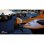 Hori Racing Wheel Apex PS5/PS4 + Gran Turismo 7 PS4