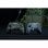 Nacon Pro Compact Controller Forest Xbox Series/Xbox One/PC