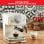 Moulinex Opio Soleil XP330A10 Cafetera 15 Bares Blanca