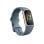 Pulsera de actividad Fitbit Charge 5 Bluetooth GPS AMOLED Azul Acero 7 días ECG EDA SpO2
