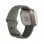 Fitbit Sense Smartwatch Gris Salvia/Acero Inoxidable Plateado