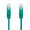 Cavo di rete Nanocable RJ45 Cat.6 UTP AWG24 0,3 m Verde