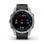 Garmin Epix Gen 2 Bluetooth WiFi NFC GPS 47mm AMOLED Argent/Gris M Étanche 10ATM SpO2