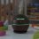 Northix Humidificador Mini 130ml Madera Oscura