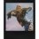 Polaroid Go Color Film Double Pack Black Frame Edition para Polaroid Go
