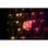 SteelSeries Apex 3 TKL Teclado Gaming RGB US