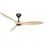 CasaFan Eco Airscrew Deckenventilator mit Gleichstrommotor und Fernbedienung, 152 cm, Schwarz