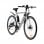 Bicicletta elettrica da turismo Youin New York 29" 250W