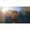Biomutant Xbox Series X/One