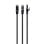 Câble réseau Gembird RJ-45 Cat 6 UTP 0,5m noir connecteurs moulés