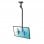 Kimex Support Plafond pour TV 43"-75" Hauteur 175cm VESA 600x400 Max 50Kg