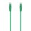 Cavo di rete Aisens A145-0578 RJ45 Cat 6A 30cm Verde UTP LSZH