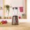 Solac Beauty and the Beast 1500 BV5728 Liquidificador 1.5L 1500W Aço Inoxidável