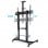 TooQ Zeus FS20400M-B Verstellbarer TV-Bodenständer 60"-100" VESA 1000x600 Max 100Kg