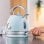 Chaleira elétrica Cecotec Thermosense 420 Vintage Light Blue 1,8L 2200W termómetro inox