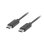 Cable USB-C Macho/Macho Lanberg 0,5 m Negro USB 2.0