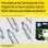 HP Cartuccia inchiostro grigio 70 da 130 ml