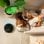 Aspirateur robot Cecotec Conga Eternal Pet Ultimate
