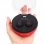 Écouteurs Bluetooth Prixton Oyster TWS200 Noir