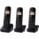 Panasonic KX-TGB613SPB Trio Teléfonos Inalámbricos Negros
