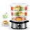 Aigostar Steel Vaporizador de Alimentos 9L 800W