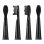 Ailoria Flash Travel Pack Têtes de rechange noires 6 unités