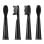 Ailoria Flash Travel Pack Têtes de rechange noires 12 unités