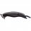 Blaupunkt BP5001 Cortapelos con Cable