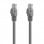 Aisens Cable de Red RJ45 LSZH Cat.6A UTP 25cm Gris