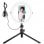 AgfaPhoto Realiview ARL11 Aro de Luz LED con Trípode