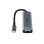 Lindy Hub USB 3.2 Gen 2 aluminio gris 4 puertos 10 Gbps con Ethernet tipo C y A