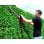 Einhell GH-EH 4245 Lama singola 420 W 2,5 kg