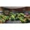 Tefal Excellence G2690232 Sartén Multiuso 20cm