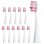 Ailoria Shine Bright Pack Têtes de Rechange Extra Clean Rose Vif 12 Unités