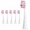 Ailoria Shine Bright Pack Cabezales de Recambio Extra Clean Brigth Pink 6 Unidades