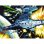 Prime 3D Linsenrasterpuzzle Star Wars Sternenzerstörer 500 Teile