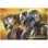 Erik Affiche Star Wars Le Mandalorien