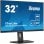 iiyama ProLite XUB3293UHSN-B5 Computerbildschirm 80 cm (31.5") 3840 x 2160 Pixel 4K Ultra HD LCD Schwarz