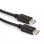 Gembird CC-DP2-10 DisplayPort cabo macho/macho 3 m preto