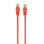 Netzwerkkabel RJ45 Cat5e Gembird PP12-0.5M/R 50cm Rot
