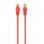 Cabo de rede Gembird PP12-0,5M/R RJ45 Cat5e 50 cm vermelho