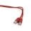Netzwerkkabel RJ45 Cat5e Gembird PP12-0.5M/R 50cm Rot
