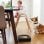 iRobot Roomba S9 Robot Aspirador