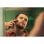 Philips OneBlade Pro 360 QP6551/15 Herrenrasierapparat Folienschaber Trimmer Chrom