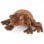 Noble Collection Harry Potter Peluche y Almohada de Rana de Chocolate